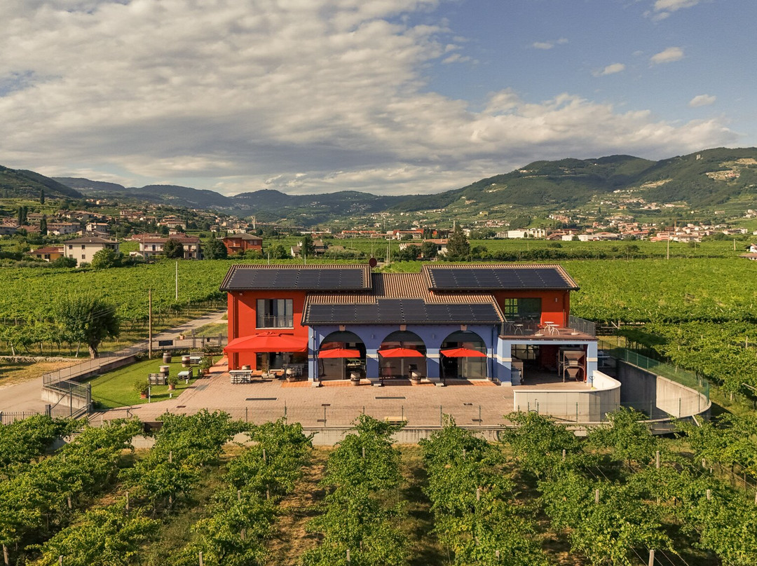 La Dama Vini-Negrar di Valpolicella必去景点
