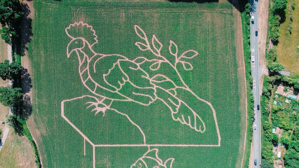 Elton Farm Maize Mazes-Newnham-on-Severn必去景点