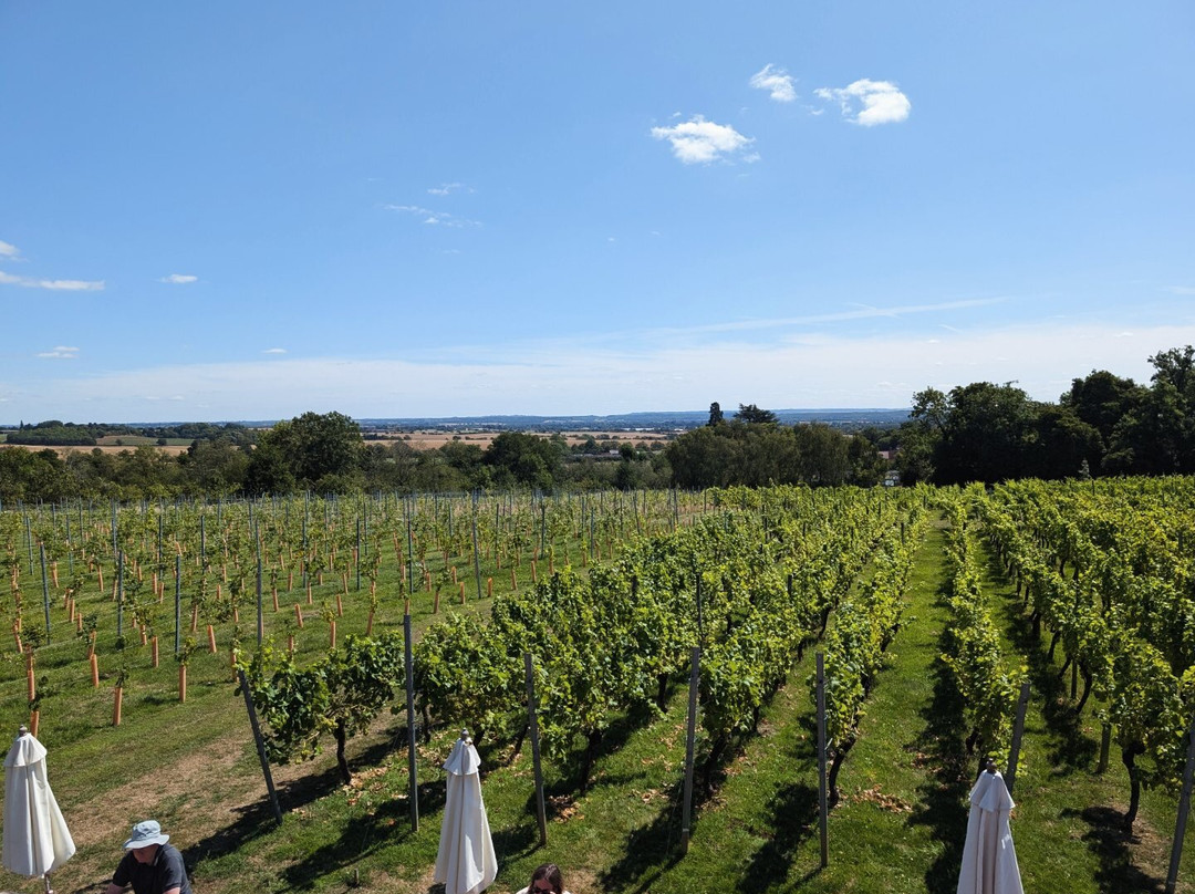 Welcombe Hills Vineyard-Snitterfield必去景点