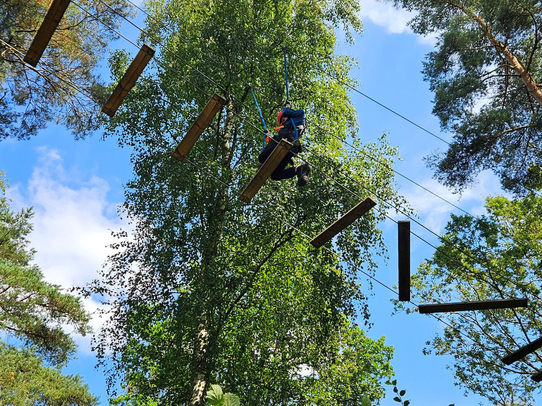 Multilevel Ziplines & Klätterpark-Hassleholm必去景点