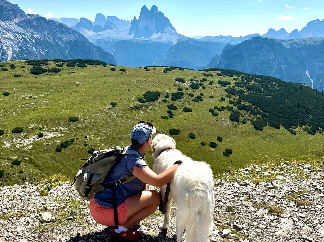 Hotel Asterbel主图