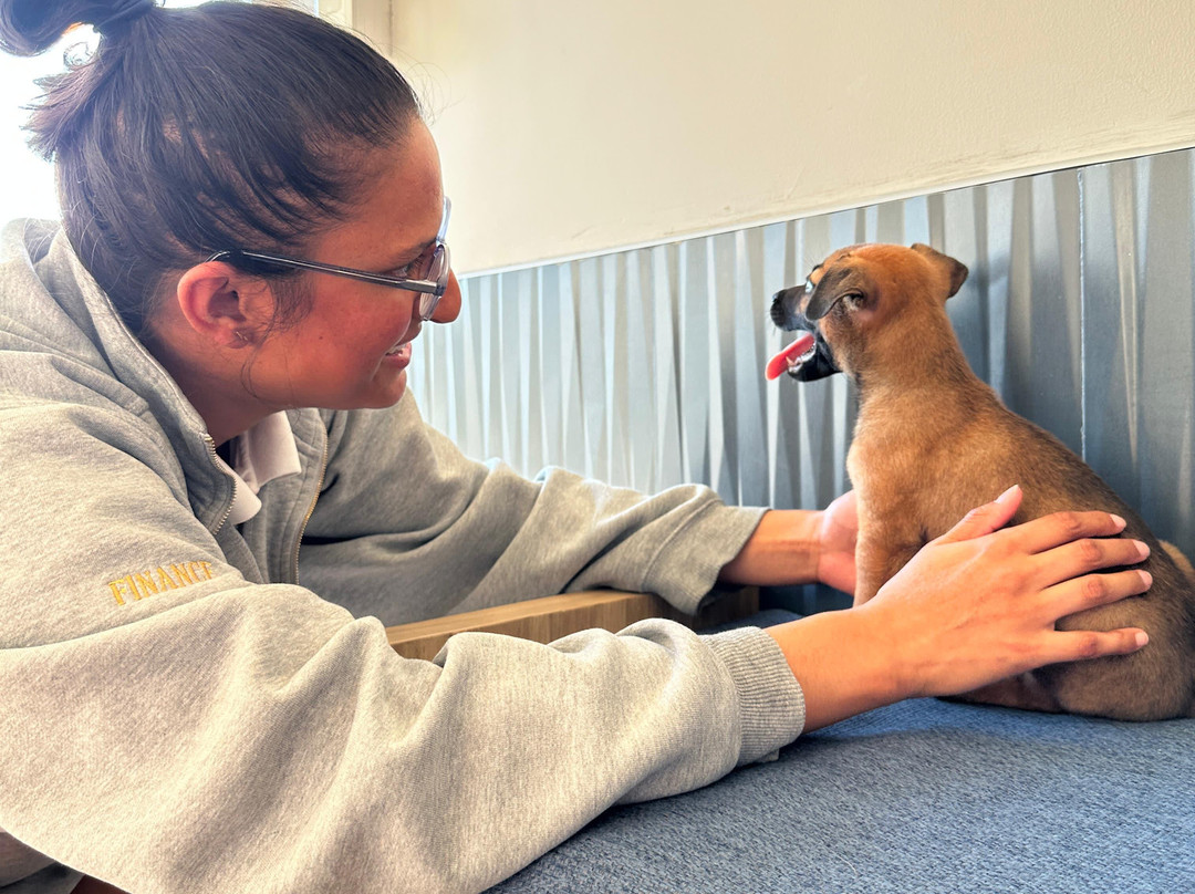 Wet Noses Rescue-Corral del Risco必去景点