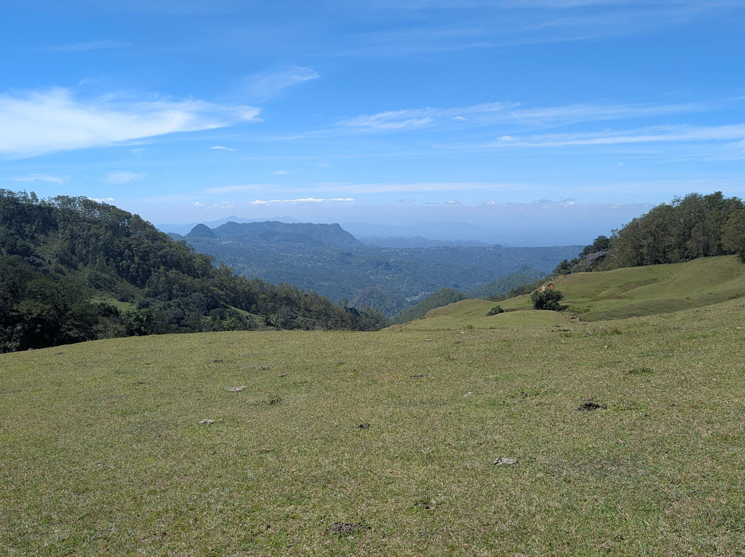 Gunung Mutis Natural Reserve-Soe必去景点