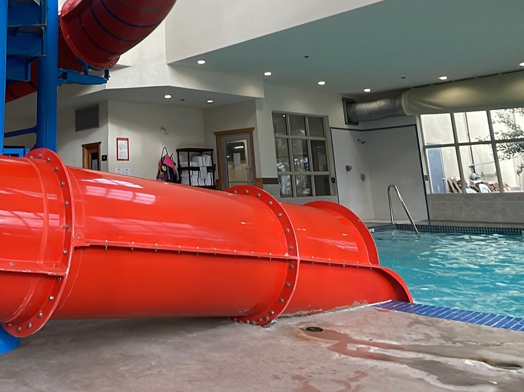 Comfort Inn & Suites主图