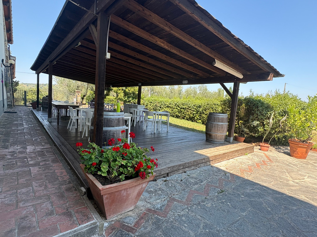 Agriturismo Villani Poderi Nesti & Cupoli主图