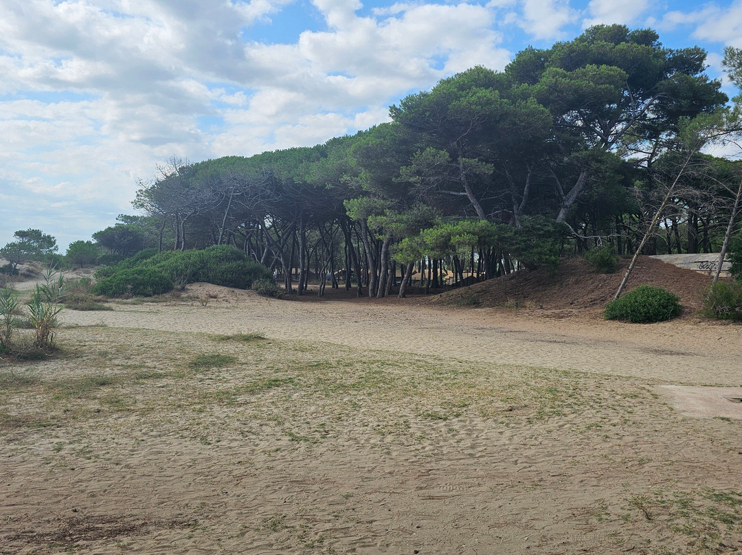 Plage de la Tamarisiere-Le Grau d'Agde必去景点