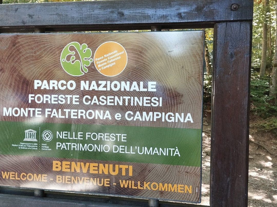 Sorgente dell'Arno-Stia必去景点