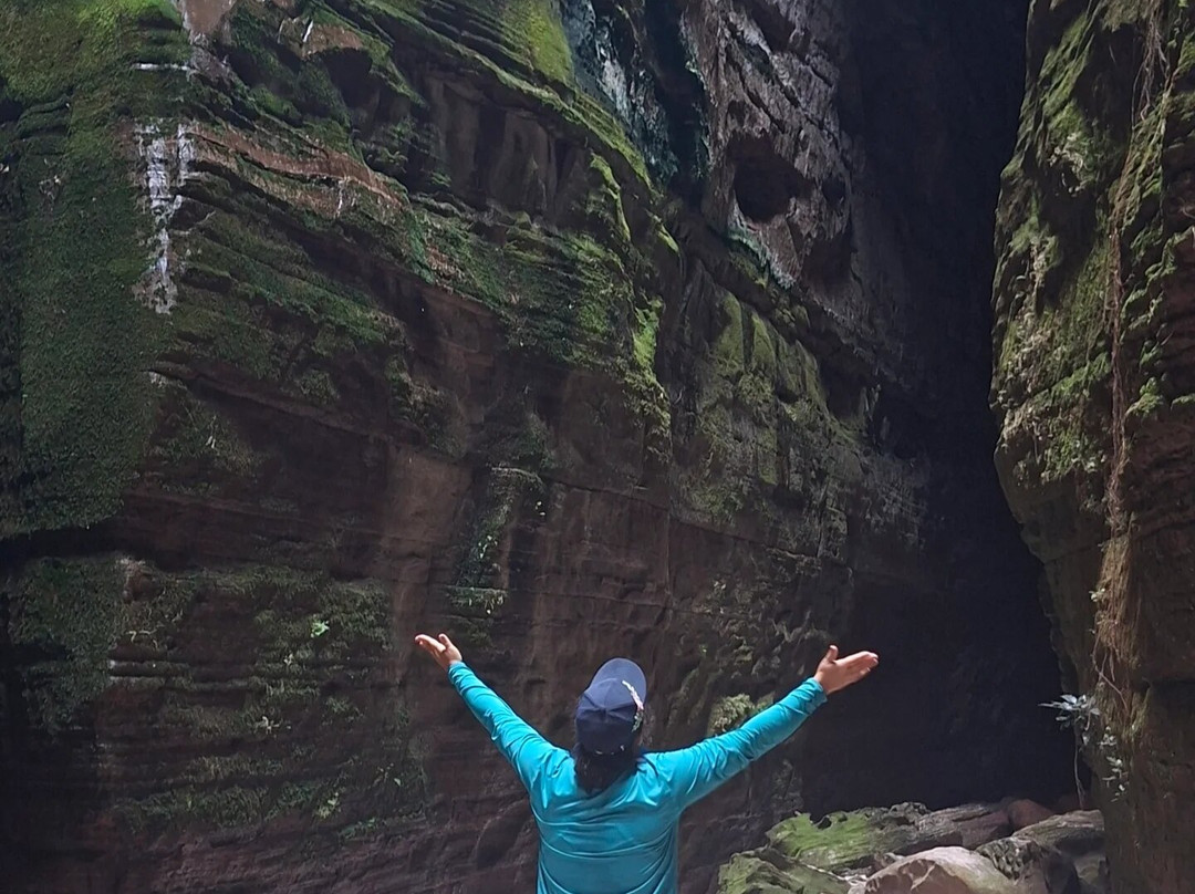 OURIQUE COMPANY / TURISMO DE EXPERIÊNCIA NA CHAPADA DOS VEADEIROS / SERRAS GERAIS / JALAPĀO / CHAPADA DIAMANTINA / CHAPADA DAS MESAS-上帕拉伊苏迪戈亚斯必去景点