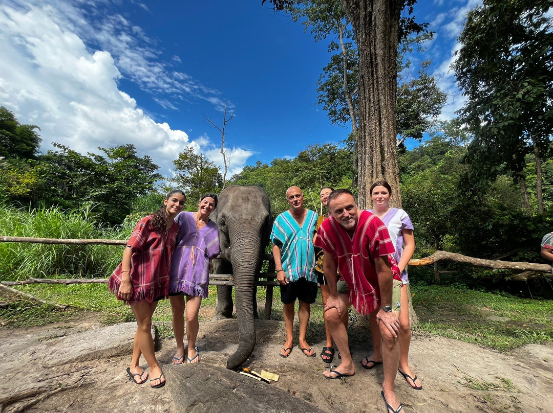Chiangmai Elephant Sanctuary-清迈必去景点