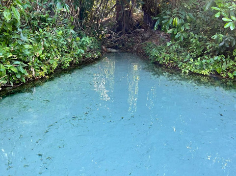 Radical Turismo 4x4 - Jalapão-Palmas必去景点