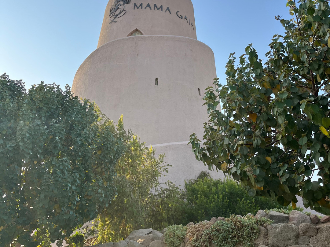 Mama Gaia Beach Club-亚喀巴必去景点