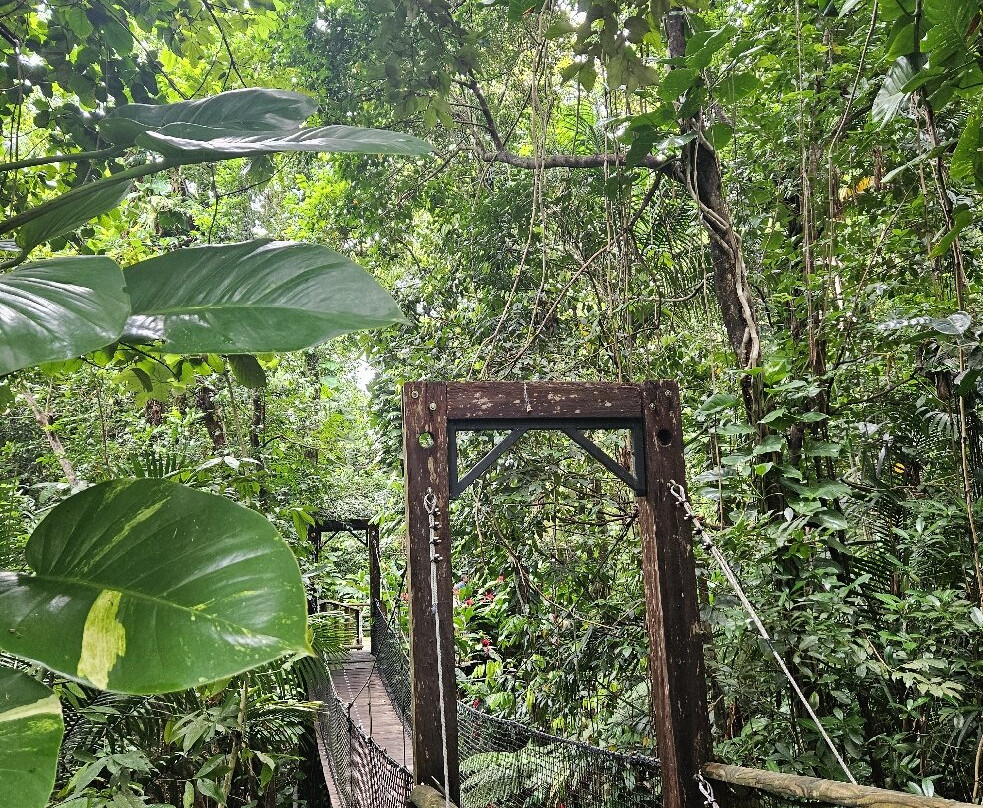 Zoo De Guadeloupe Au Parc Des Mamelles-Bouillante必去景点