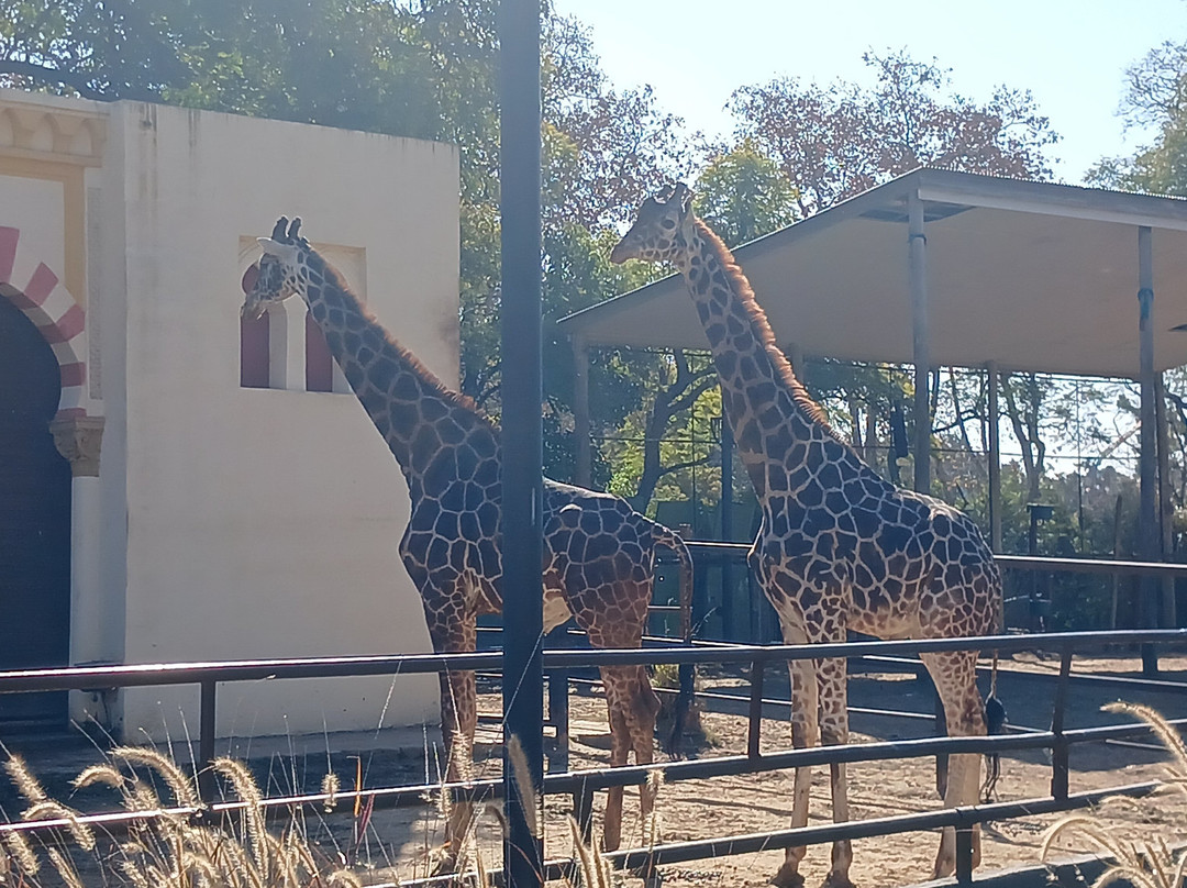 Eco Parque-布宜诺斯艾利斯必去景点