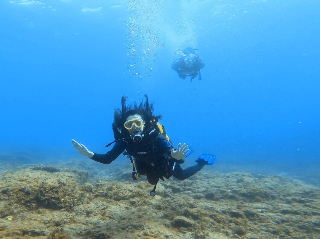 Tenerife Into The Blue - Dive In The Adventure-Abades必去景点