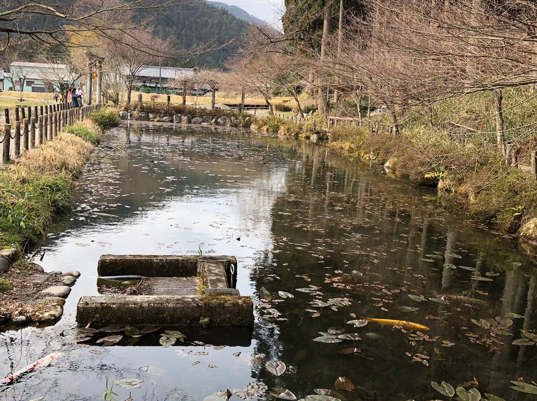 Monet’s Pond-关市必去景点