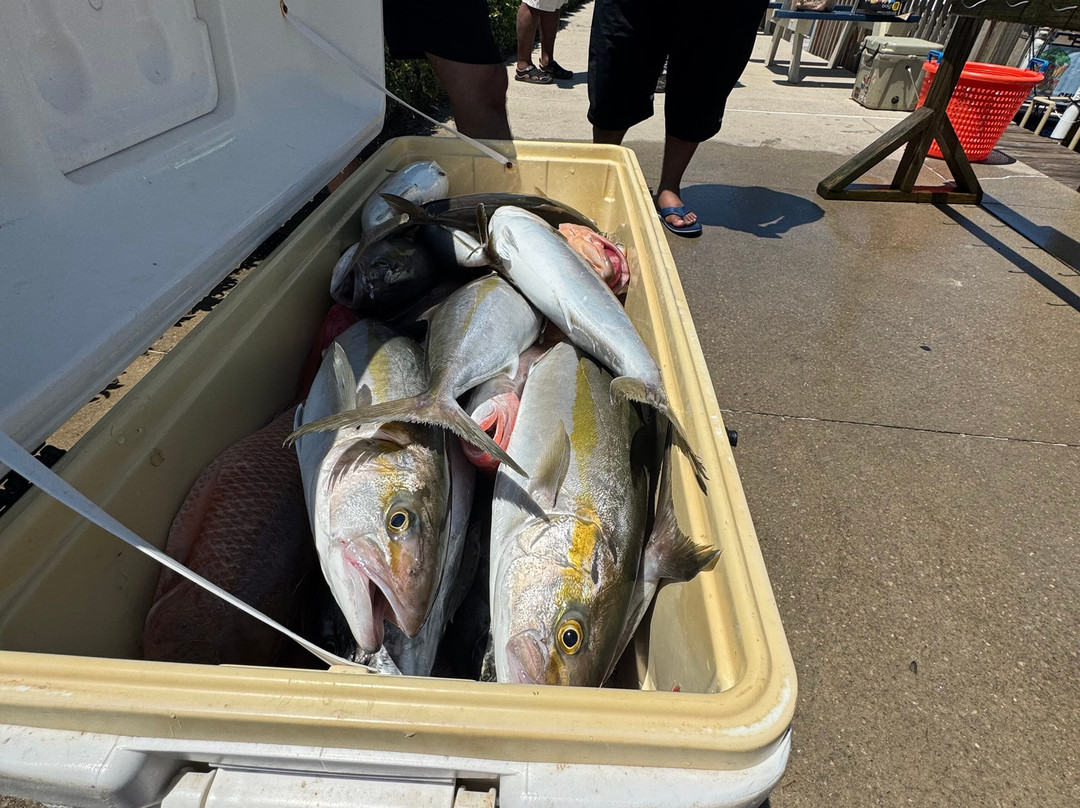 The Reel Contender Fishing Charter-巴拿马城海滩必去景点