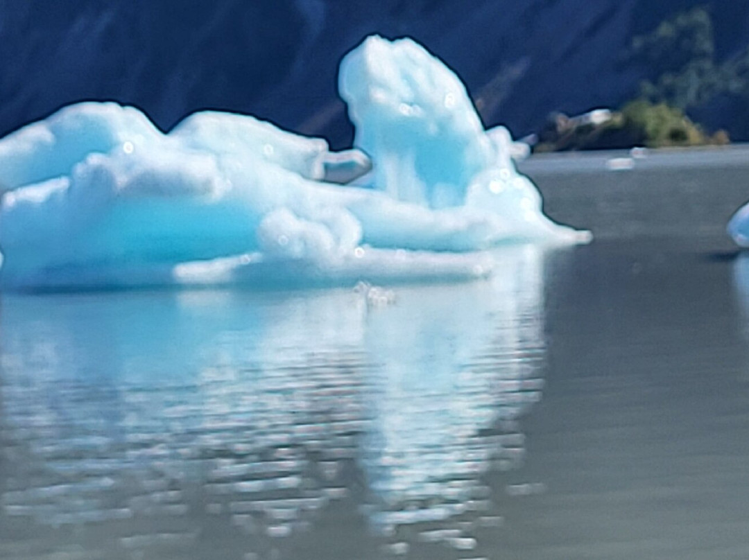 49North Alaskan Adventures-荷马必去景点