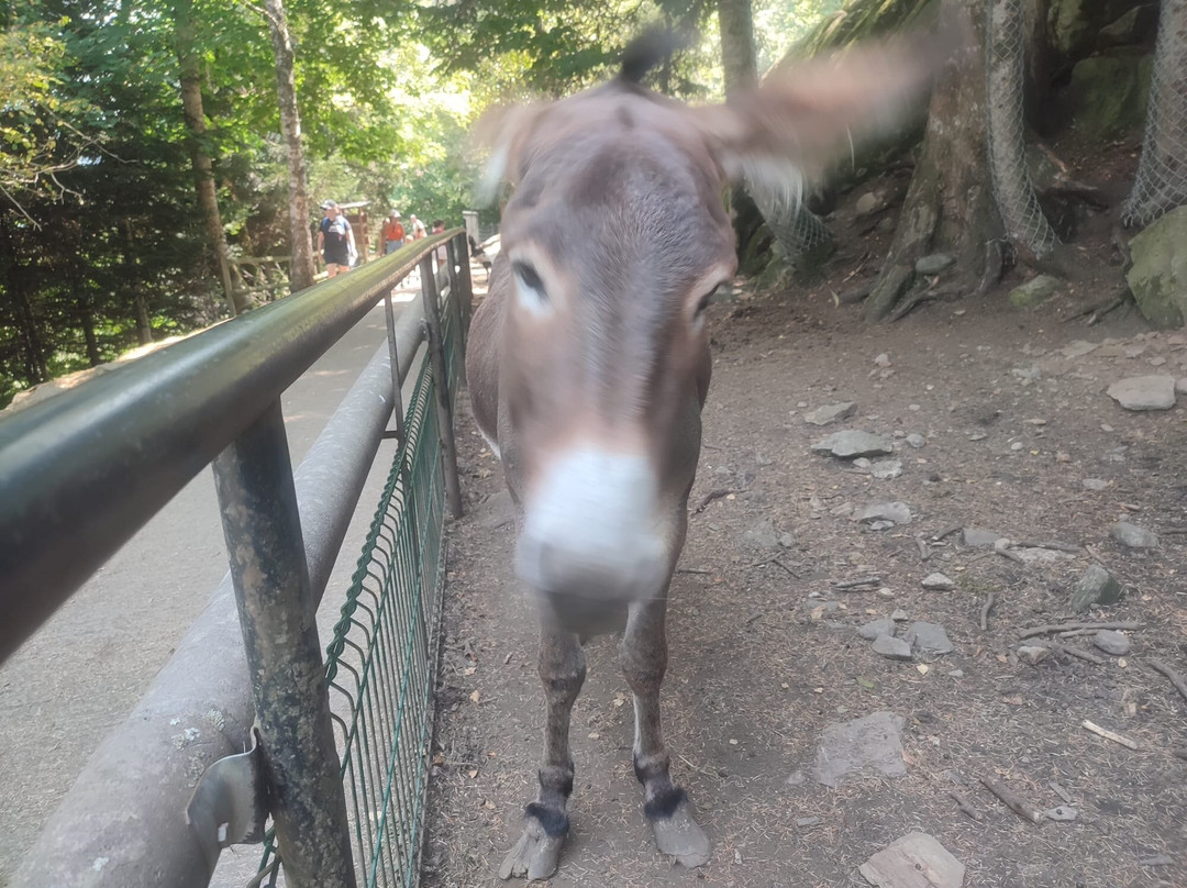 Aran Park-Bossost必去景点