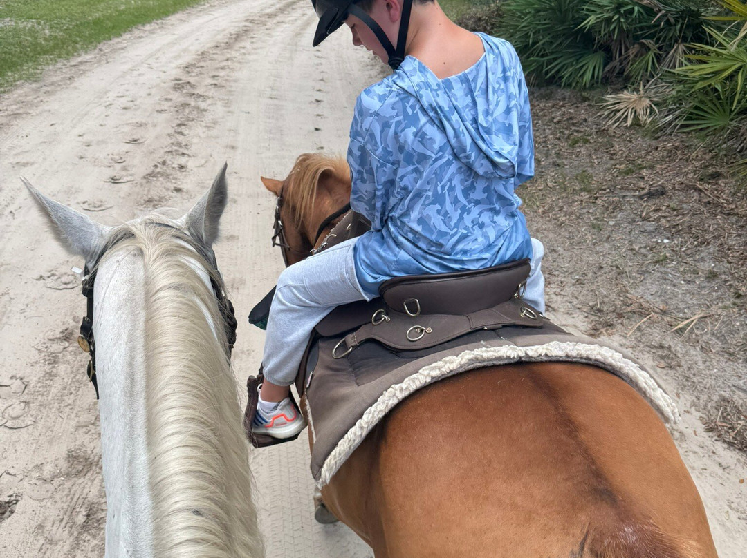 Camelot Farms Equestian Center-Saint Helena Island必去景点