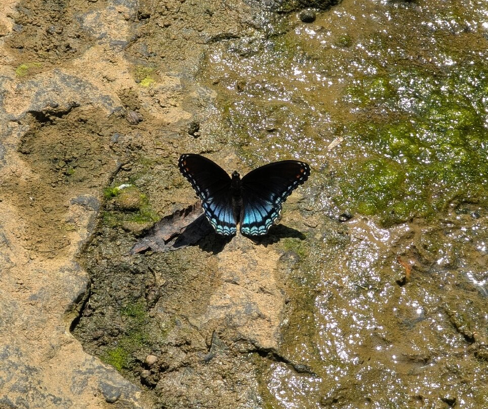 Burgess Falls State Park-Sparta必去景点