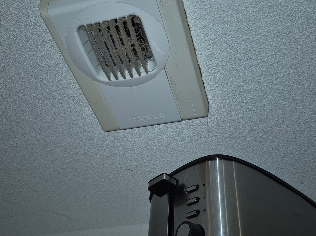 Adonis Cassen by Olydea主图