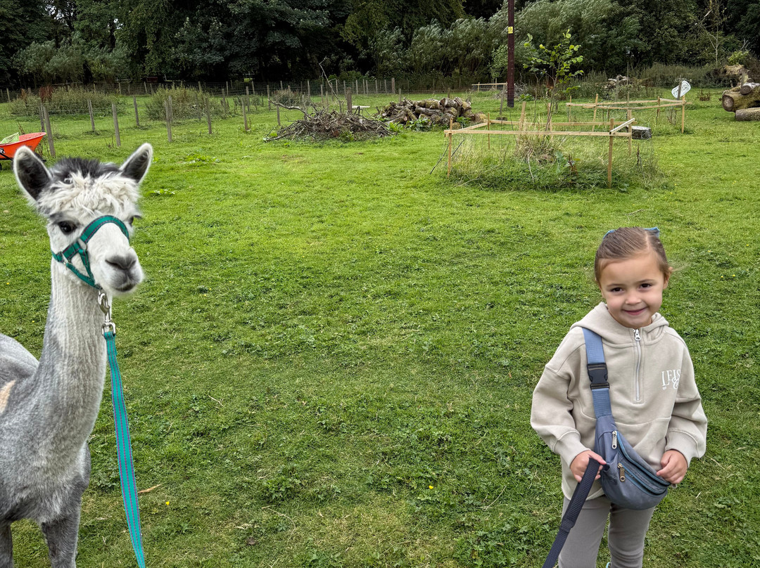 Wee Eden-West Calder必去景点
