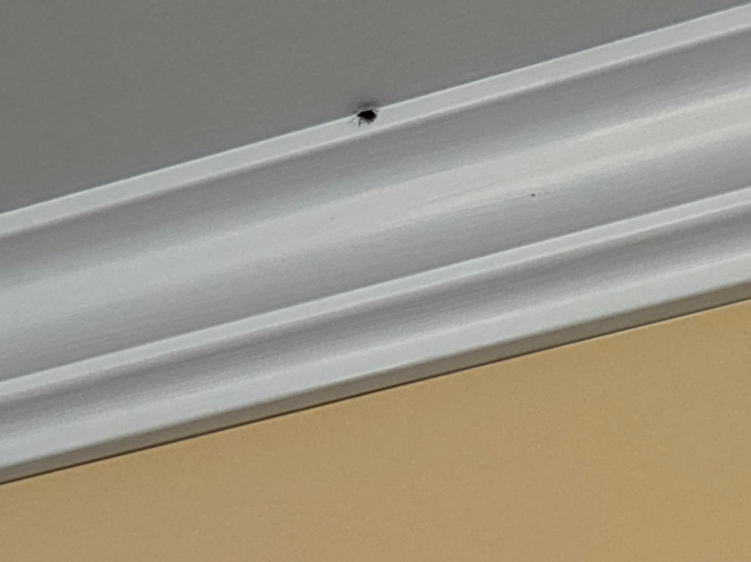 海景画海岸隐居酒店主图