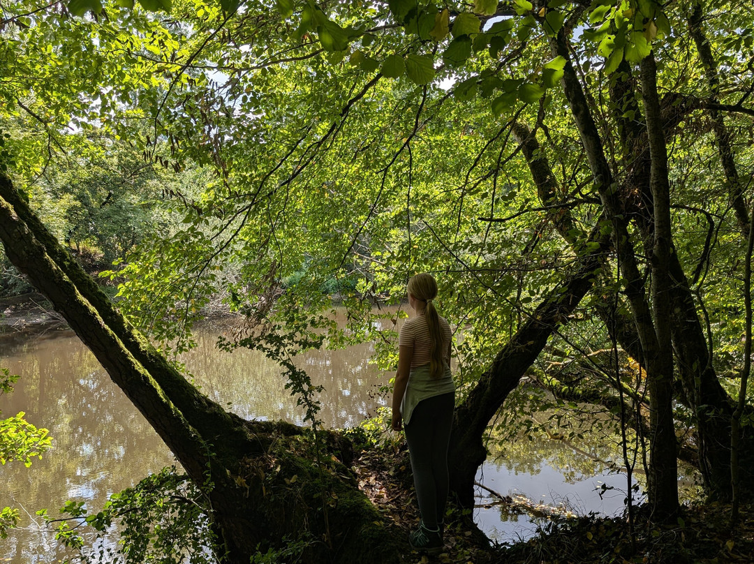 Grottes d'Arcy-sur-Cure-Arcy-sur-Cure必去景点