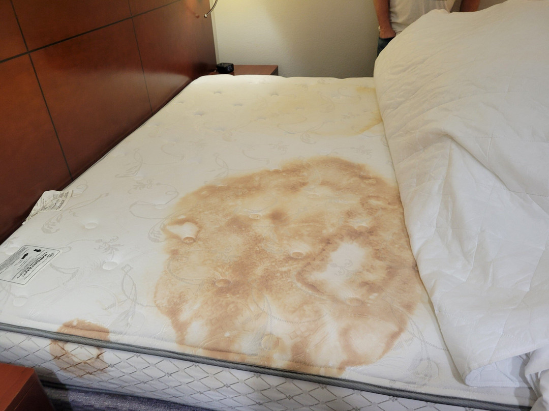 布朗斯维尔万怡酒店主图