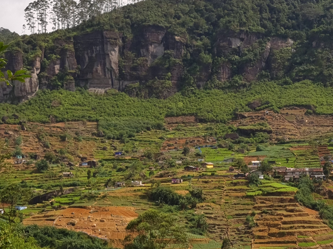 Leo Eco Tours Sri Lanka-Godagama必去景点