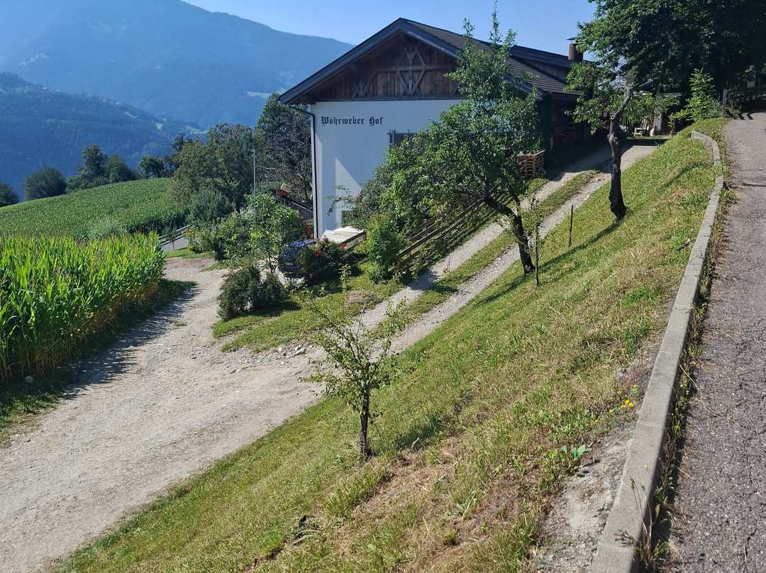 Restaurant Gasthof Wöhrmaurer主图