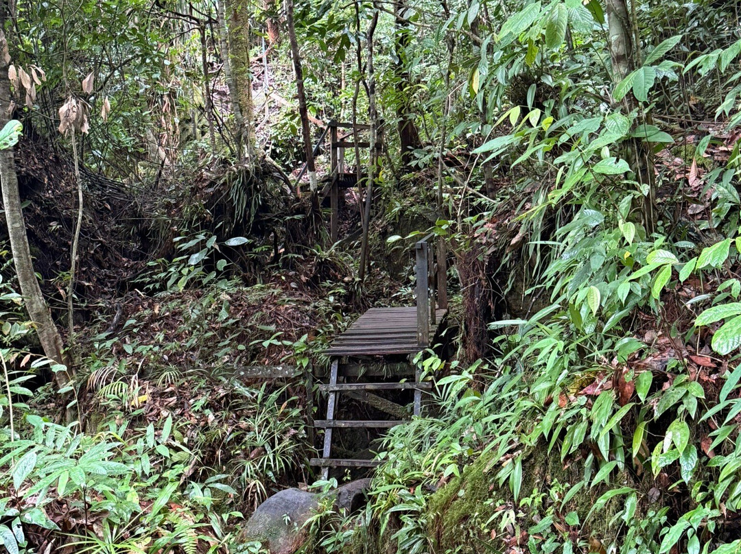 Bako National Park-古晋必去景点
