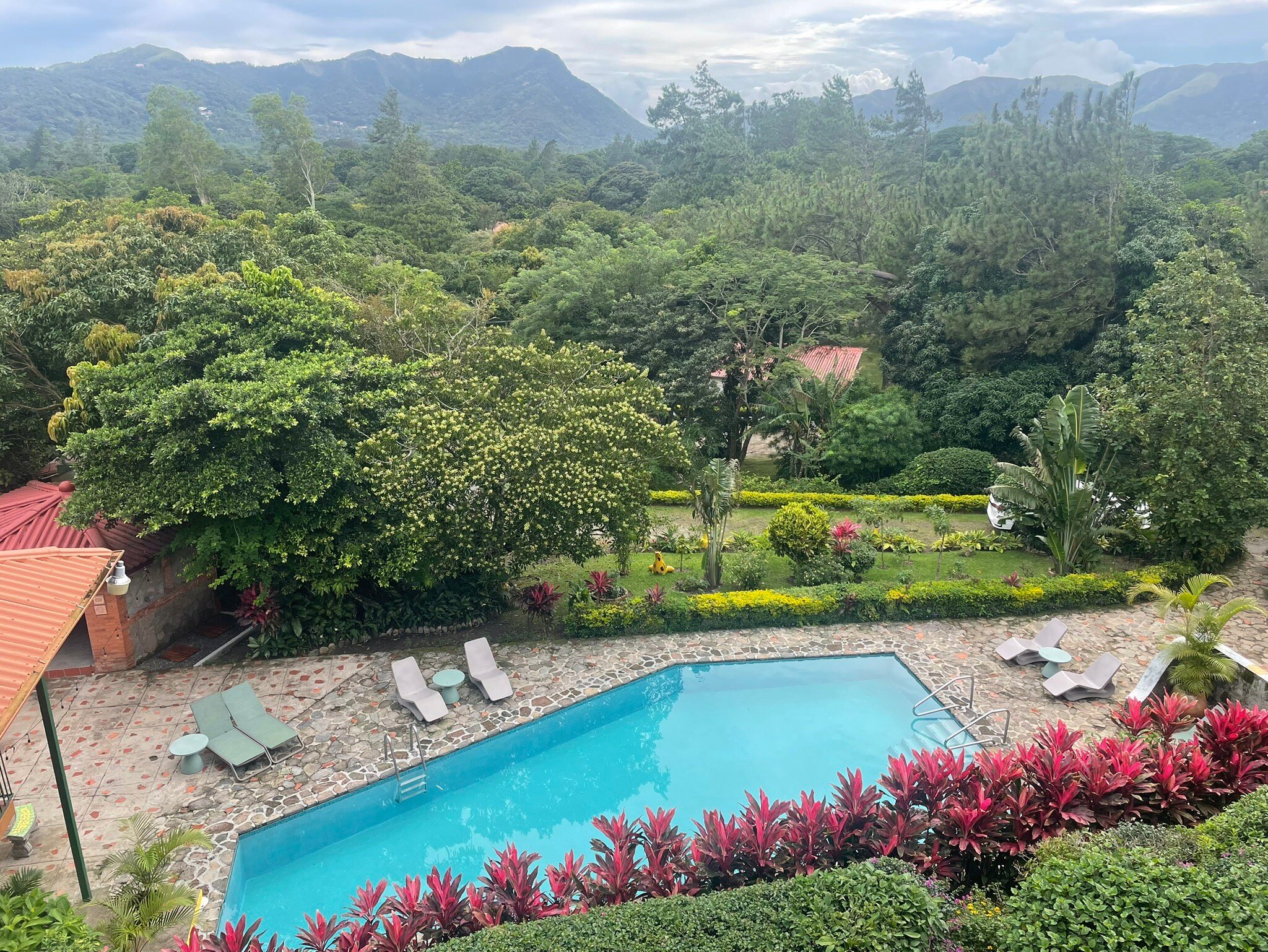 The Golden Frog Inn-官方