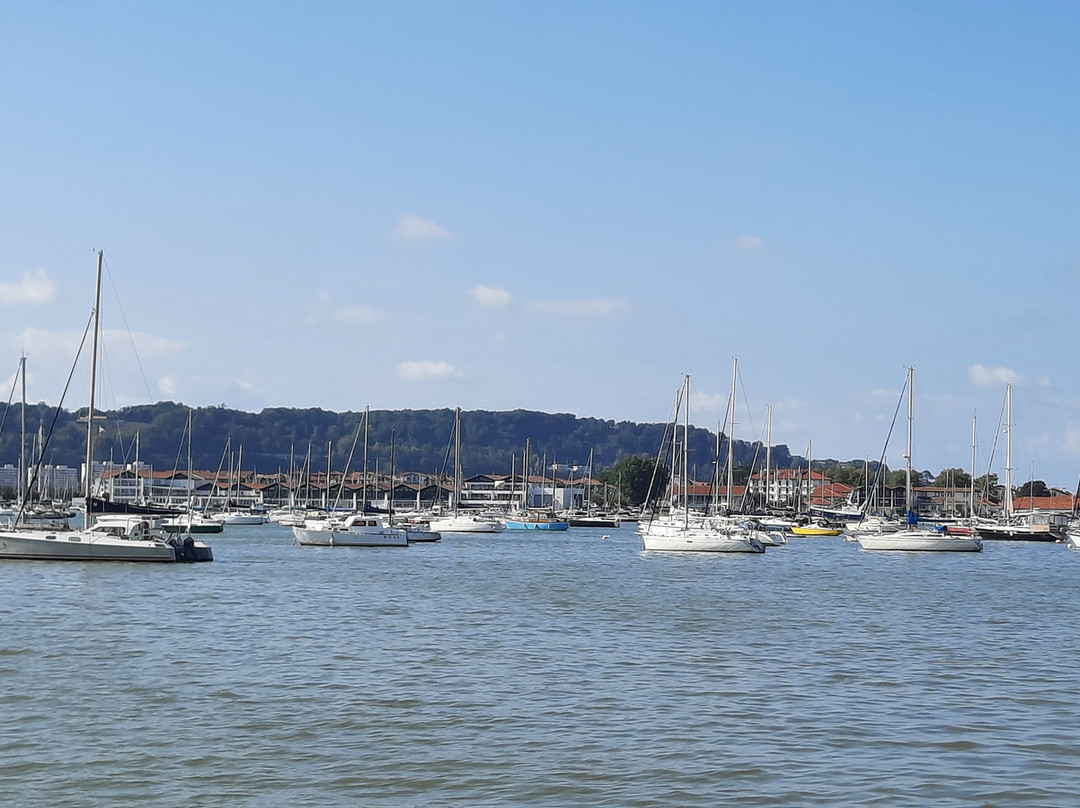 Les sardinades du port de Caneta-Hendaye必去景点