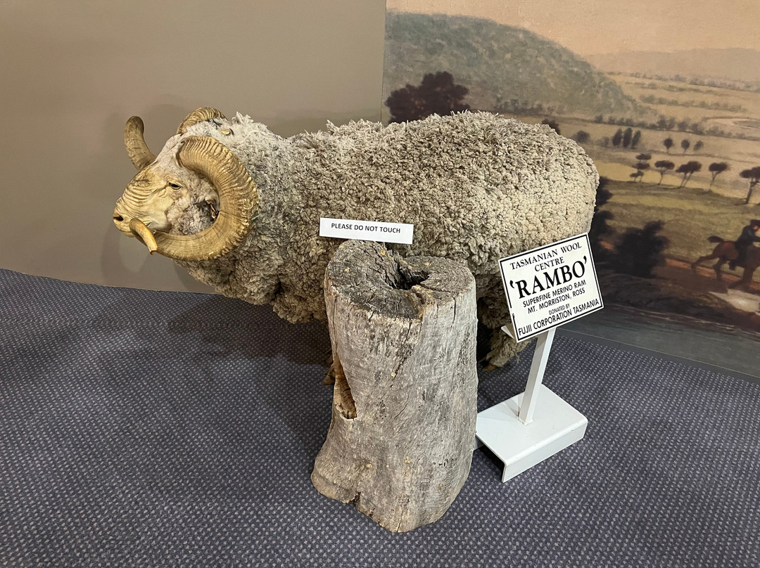 Tasmanian Wool Centre.-罗斯必去景点
