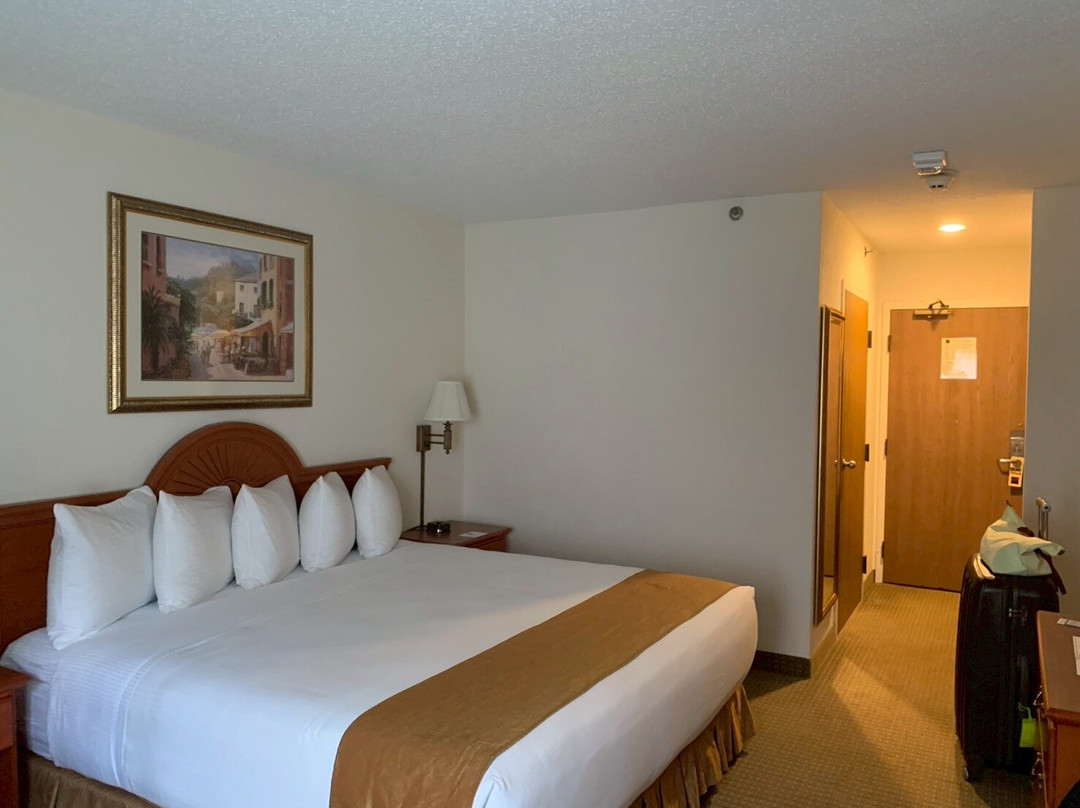 安阿伯丽晶套房酒店主图