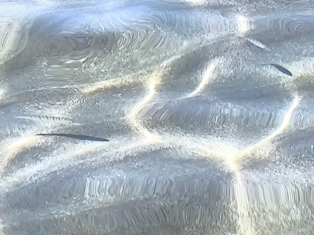 Glyfada Beach-Glyfada必去景点