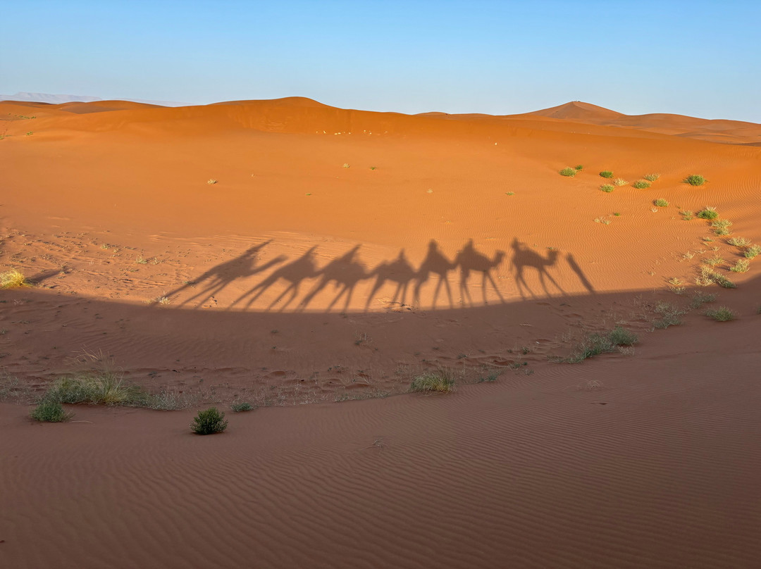 Caravane Cimes et Dunes-扎古拉必去景点