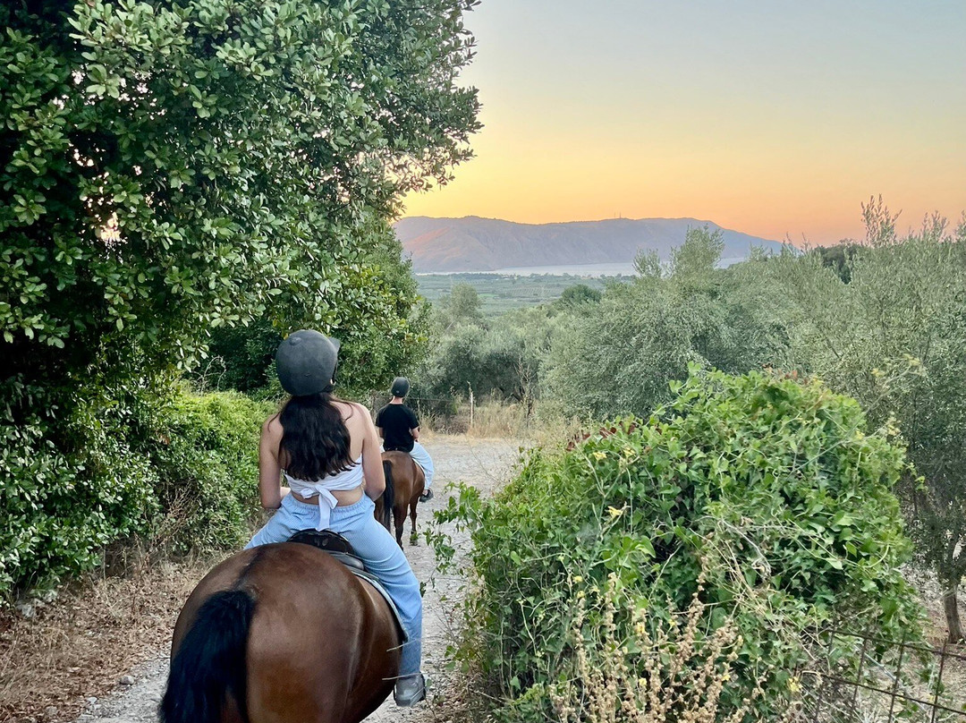 Zoraida's Horse Riding-Paralia Kourna必去景点