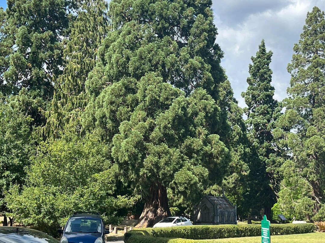 Brookwood Cemetery-沃金必去景点
