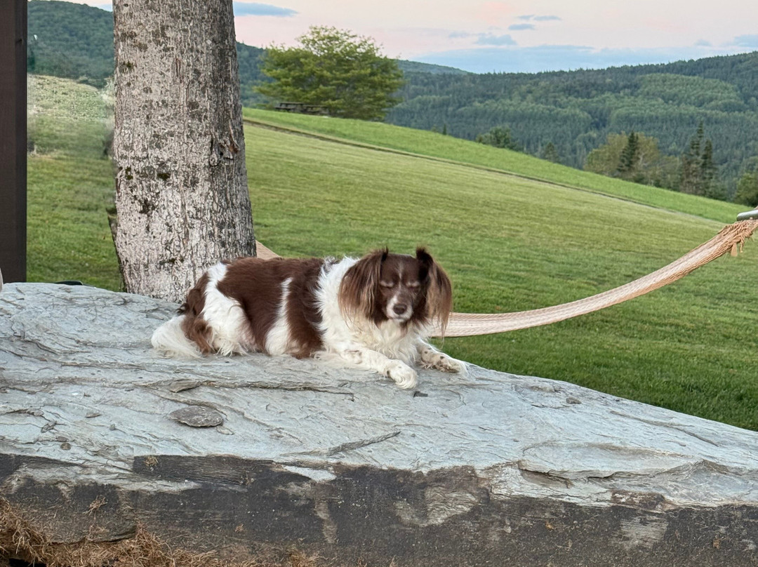 Bear Rock Adventures-Pittsburg必去景点