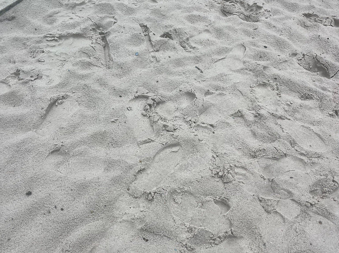 Brightwater Lagoon-North Fort Myers必去景点