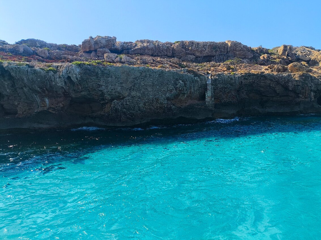 Redfish-马尔萨拉必去景点