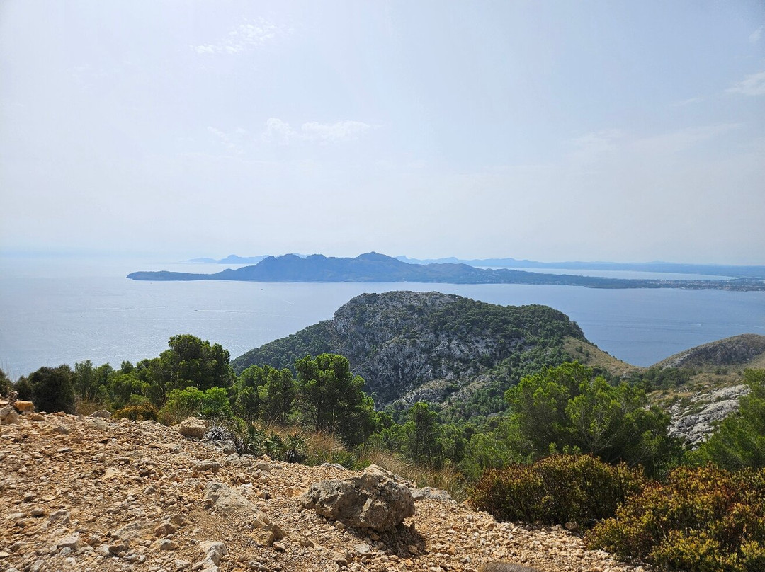 Buggy Mallorca Tours-阿尔库迪亚港必去景点