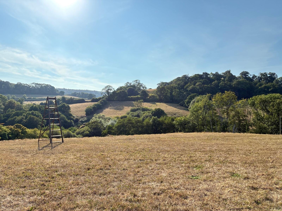 Sid Valley Country House Hotel主图