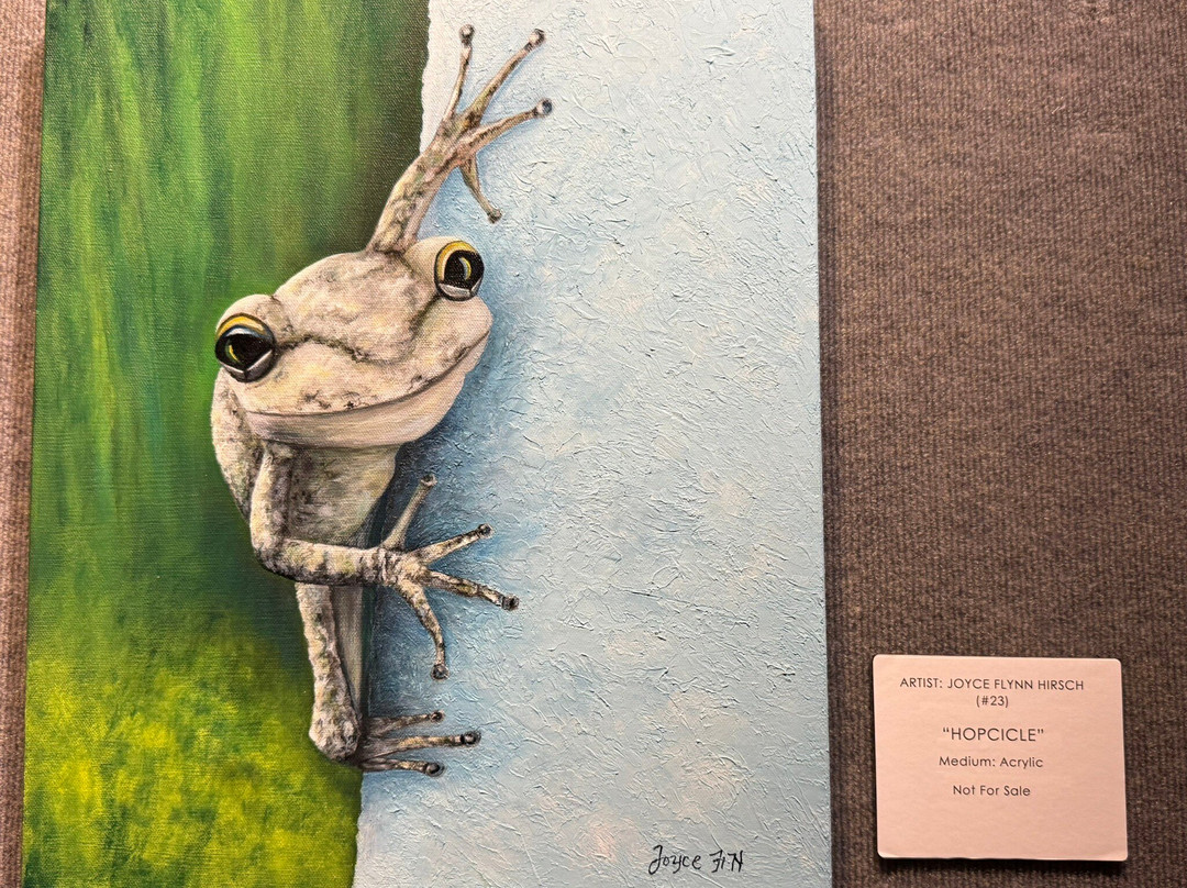 Marco Island Center for the Arts-马可岛必去景点