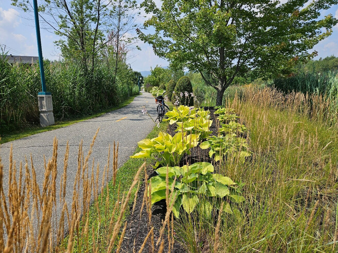 Parc de la Baie-de-Magog