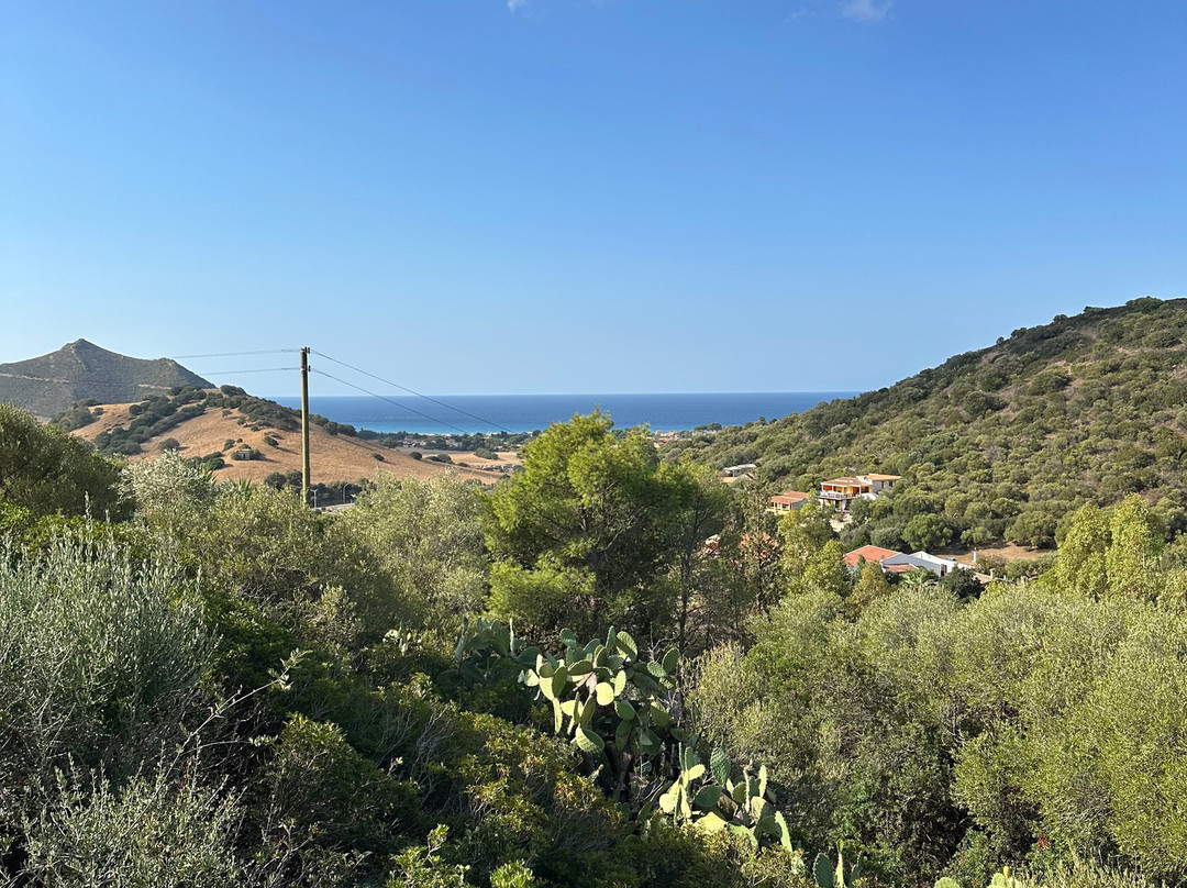 Sa Guardia de Ferricci主图