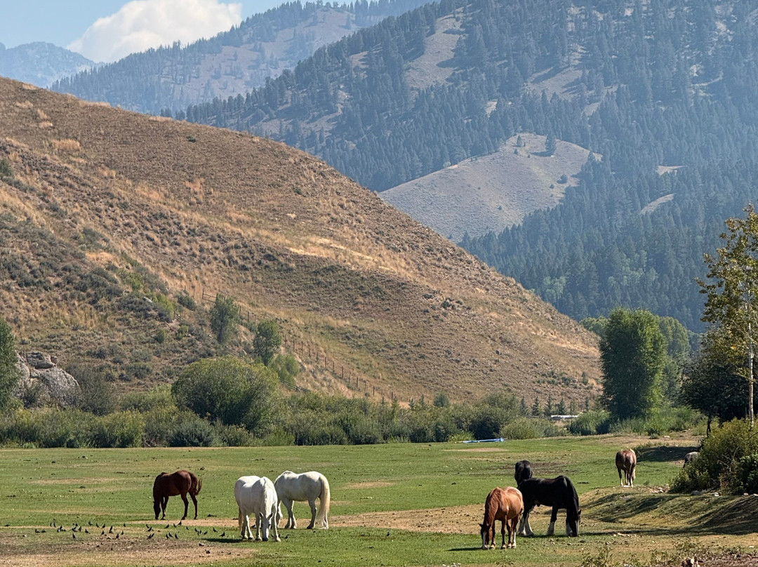 Mill Iron Ranch-杰克逊必去景点