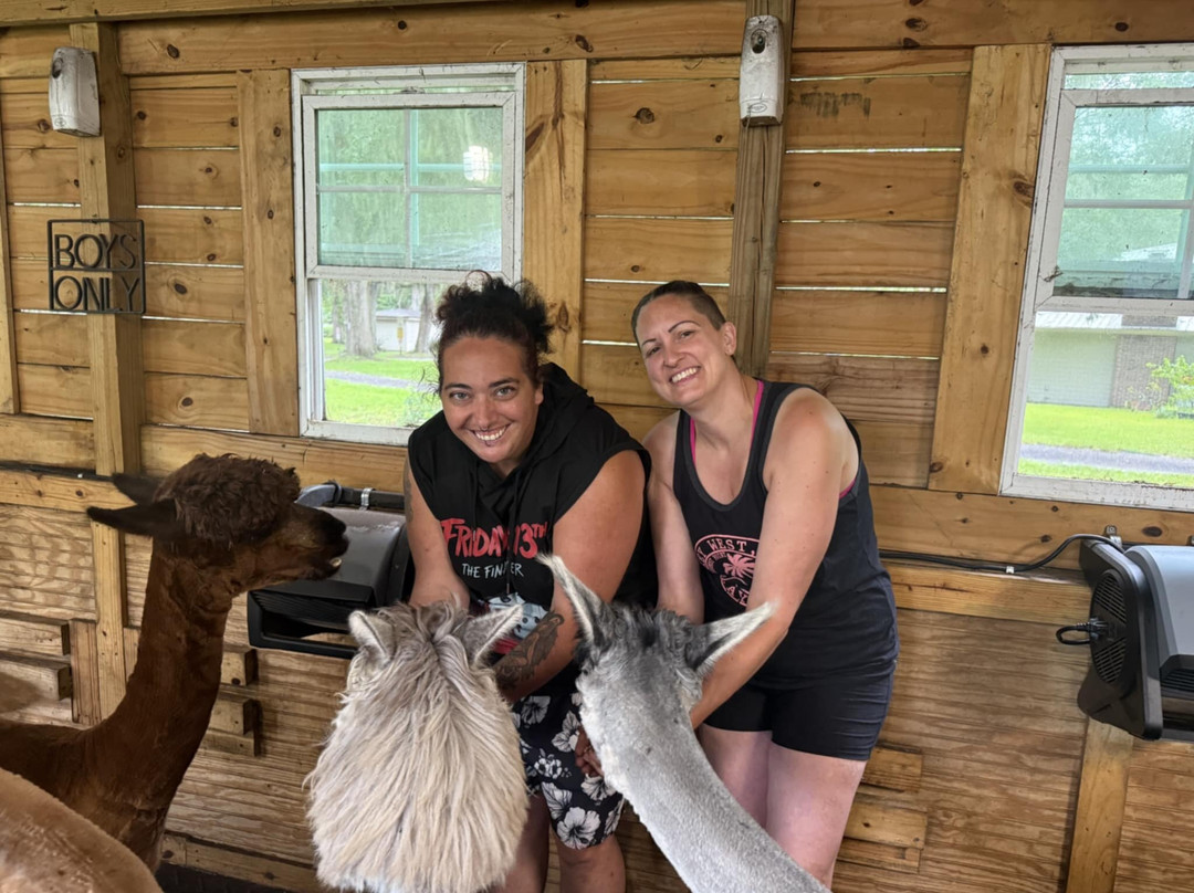 Shady Rest Alpacas-杰克逊维尔必去景点